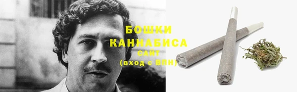 сатива Богородицк