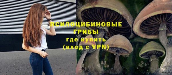 синтетический гашиш Богданович