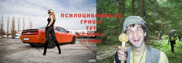 сатива Богородицк