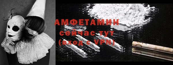сатива Богородицк