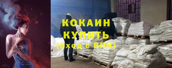 сатива Богородицк