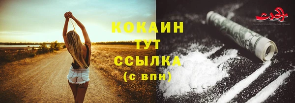 сатива Богородицк