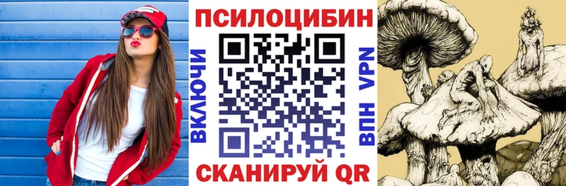 Псилоцибиновые грибы мицелий  Ессентукская 
